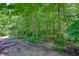 A beautiful backyard that features mature trees and a walking path at 6012 Yellow Birch Ct, Avon, IN 46123