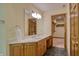 Well-lit bathroom with a nice vanity, mirror and adjacent walk-in closet space at 6012 Yellow Birch Ct, Avon, IN 46123