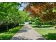 Scenic tree-lined driveway creating a serene approach to the property at 6012 Yellow Birch Ct, Avon, IN 46123