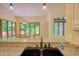 Double sink overlooking an outside dining area with a beautiful tree view from a window at 6012 Yellow Birch Ct, Avon, IN 46123