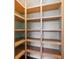 Empty pantry with ample shelving at 6350 W Chelmsford Dr, McCordsville, IN 46055