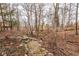 Stone-lined walking path through wooded backyard with a small rock water feature and mature trees at 5508 Bay Landing Cir, Indianapolis, IN 46254