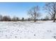 Peaceful backyard with snow covered lawn and mature trees at 5152 Coppertree Ln, Avon, IN 46123