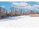 Snowy backyard with a wooden fence and trees at 2406 Ninebark Dr, Plainfield, IN 46168