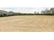 Spacious dirt paddock area enclosed by a black wooden fence, perfect for horses or livestock, with houses in background at 8552 E 550 S, Zionsville, IN 46077