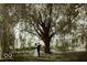 Romantic couple embracing under a large tree at 5465 S State Road 75, Jamestown, IN 46147
