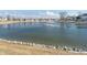 A large pond with ducks and geese adds a serene touch to the neighborhood at 10229 Canal Way, Noblesville, IN 46060