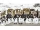 Aerial view of houses with snow on the ground at 17935 Paula, Westfield, IN 46074