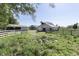 Set of barns and pastures surrounded by mature trees, offering versatile usage opportunities at 4462 S Morgantown Rd, Greenwood, IN 46143