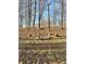 Stone fire pit surrounded by trees at 459 W Lakeview Dr, Nineveh, IN 46164