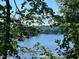 Lake view through trees on sunny day at 459 W Lakeview Dr, Nineveh, IN 46164