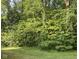 Lush green trees and shrubs create a private backyard at 10391 Butler Dr, Brownsburg, IN 46112