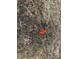 View of lot with orange survey markers at 12625 Strawtown Ave, Noblesville, IN 46060