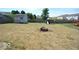 Large backyard with shed, fire pit, and playset at 833 Palisades Ct, Greenwood, IN 46143