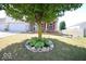 Stone border around a tree with hostas and other plants at 833 Palisades Ct, Greenwood, IN 46143
