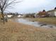 Backyard pond surrounded by landscaping, creating a serene and picturesque view from the property at 1217 Legacy Ln, Indianapolis, IN 46234