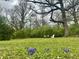 Expansive backyard with mature trees and blooming flowers, offering a serene and natural setting at 6220 Dean Rd, Indianapolis, IN 46220