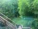 A backyard view of trees and greenery at 14565 Geist Ridge Dr, Fishers, IN 46040