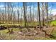 Backyard fire pit surrounded by adirondack chairs in a woodsy setting at 14565 Geist Ridge Dr, Fishers, IN 46040