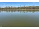 Peaceful view of a pond and a wooded treeline reflecting on the calm waters at 14565 Geist Ridge Dr, Fishers, IN 46040