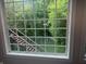 A framed view of backyard trees through a window at 14565 Geist Ridge Dr, Fishers, IN 46040