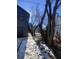 Dark gray building and overgrown trees in backyard at , Indianapolis, IN 46202