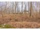 View of the backyard from a distance through dense woods in winter, partly obscuring the house at 9399 Irishmans Run Ln, Zionsville, IN 46077