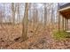 Backyard view with a stone pathway going through the leafy ground towards a dense forest and part of a building at 9399 Irishmans Run Ln, Zionsville, IN 46077