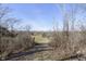Scenic view of the backyard with a grassy field beyond a cluster of trees and shrubs at 5183 Fairway Dr, Avon, IN 46123