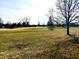 Spacious front yard with mature trees and open green space at 5299 Carnoustie Cir, Avon, IN 46123
