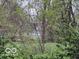 House partially obstructed by bushes, trees, and weeds in the backyard at 2029 W 60Th St, Indianapolis, IN 46228