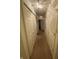 Hallway featuring multiple storage closets along both walls at 1348 Mccormicks Cir, Danville, IN 46122
