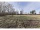 Open grassy backyard with mature trees and some brush at 5324 Mann Rd, Indianapolis, IN 46221