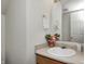 This bathroom boasts a stylish sink with a vanity cabinet below and decorative towels and flowers on the counter at 6623 Pasco Ln, Plainfield, IN 46168