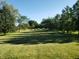 Spacious backyard with mature trees, providing shade and a serene environment for outdoor enjoyment at 1307 W 161St St, Westfield, IN 46074