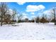 Large, snow-covered yard featuring mature trees and a serene setting at 1307 W 161St St, Westfield, IN 46074