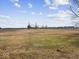Open field with tall grass and a few trees at 7279 W State Road 44, Shelbyville, IN 46176