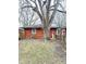 Backyard view of a brick home with a large tree providing shade to the yard at 4114 N Butler Ave, Indianapolis, IN 46226