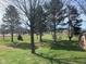 Spacious backyard featuring lush greenery and mature trees, perfect for outdoor activities and relaxation at 971 Alexander St, Greenwood, IN 46143