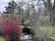 Lush backyard featuring vibrant pink bushes and a tranquil stream reflecting the sky among mature trees at 6632 Sargent Rd, Indianapolis, IN 46256