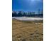 Frozen pond with geese in a well-maintained community landscape at 9101 S Stone Trace S Blvd, Avon, IN 46123
