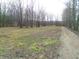 View of the lot with mature trees and the long gravel driveway leading to the property at 6602 S 400 W, Columbus, IN 47201