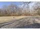 Large backyard featuring open lawn space and trees with a shed, offering room for outdoor activities at 715 S Ribble Ave, Muncie, IN 47302