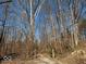 View of backyard leading into trees at 7971 Conarroe Rd, Indianapolis, IN 46278