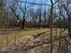 Beautiful backyard view with flowing creek, trees and lush green space at 7971 Conarroe Rd, Indianapolis, IN 46278