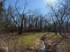 Beautiful backyard view with flowing creek, trees and lush green space at 7971 Conarroe Rd, Indianapolis, IN 46278