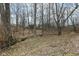 Wooded backyard with a small creek flowing through, highlighting the natural landscape and tranquility at 7971 Conarroe Rd, Indianapolis, IN 46278
