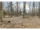 Backyard featuring fallen leaves, a wooded area and the back of a home at 7971 Conarroe Rd, Indianapolis, IN 46278