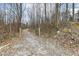 Gravel driveway entrance lined with trees and foliage offering a private and natural setting at 7971 Conarroe Rd, Indianapolis, IN 46278