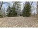 Outside shed surrounded by greenery and foliage at 7971 Conarroe Rd, Indianapolis, IN 46278